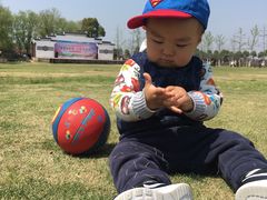 -武汉紫薇都市田园