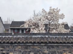 -粗茶淡饭(东关街店)