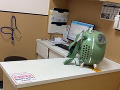 -瑞派康怡24h宠物医院·犬猫医疗中心·微创绝育(瑞景分院)