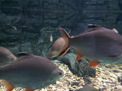 -常州海昌海洋探索馆