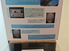 -大阪海游馆