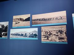 -鄂尔多斯青铜器博物馆