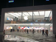 -Apple零售店(成都太古里店)