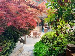 -芭东小镇温泉