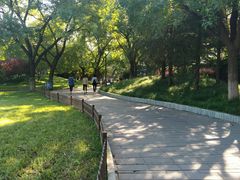 -丰台花园