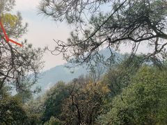 -缙云山景区