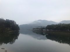 -蒋氏故居