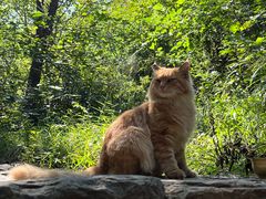 -北京西山国家森林公园