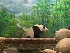 -灵玲国际马戏城