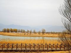-野鸭湖国家湿地公园