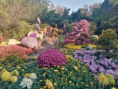 -杭州植物园