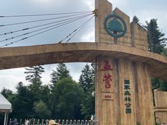 -五营红松林海景区