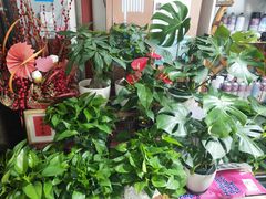 -何兮花店·气球派对鲜花店(马桥银春路万科城店)