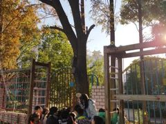 -上海市宝山星佑博爱幼儿园