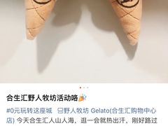 -野人先生现做冰淇淋(北京环宇荟店)