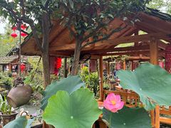 -青城甲(青城山店)