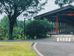 -鲤鱼洲酒店港鲤咖啡厅