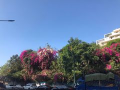 -三亚湾海居铂尔曼度假酒店