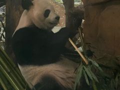 -成都雅诗阁来福士