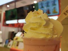 -须尽欢·冰淇淋&中国茶(翔殷路店)