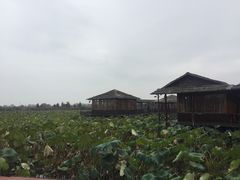 -军山湖云水间水上餐厅(进贤店)