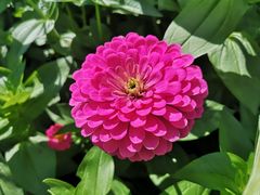 -长春公园(普阳街道)