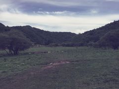 -大水川景区