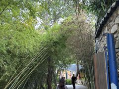 -海东龙宫寺
