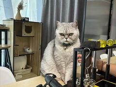 -Oasis绿洲银饰珍珠手作diy(壹方城店)