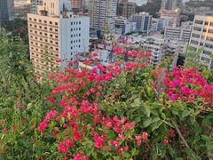 -狐尾山公园