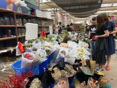 -秦美花卉(天朗·莱茵小城2期店)