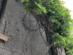 -嘉定紫藤园