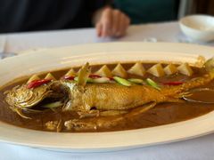 家烧大黄鱼-松鹤楼·非遗·苏帮菜(融科店)