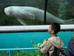 -悉尼海洋生物水族馆