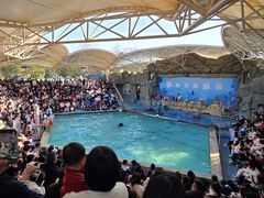 -合肥野生动物园