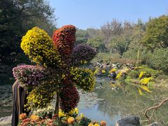 -杭州植物园