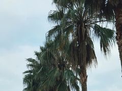 -南沙十九涌渔人码头-南门