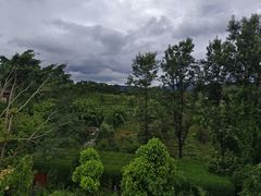 -墨江北回归线标志园