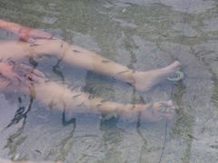 -三江森林温泉度假区