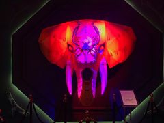 -疯克大象美式烤肉餐厅