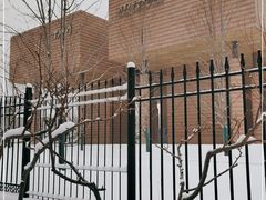 -清华大学艺术博物馆