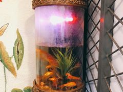 -小孙家厨(长春路店)