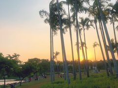 -宝安西湾红树林湿地公园