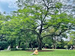 -中国科学院西双版纳热带植物园