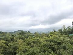 -陶祖圣境风景区