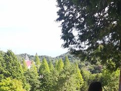 -神户市立六甲山牧场