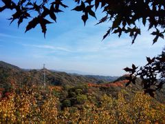 iphone_upload_pic-百里山水画廊乌龙峡谷