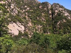 -大岭沟猕猴桃谷风景区
