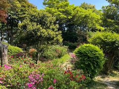 -梧桐山风景名胜区