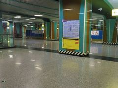 -大龙山(地铁站)